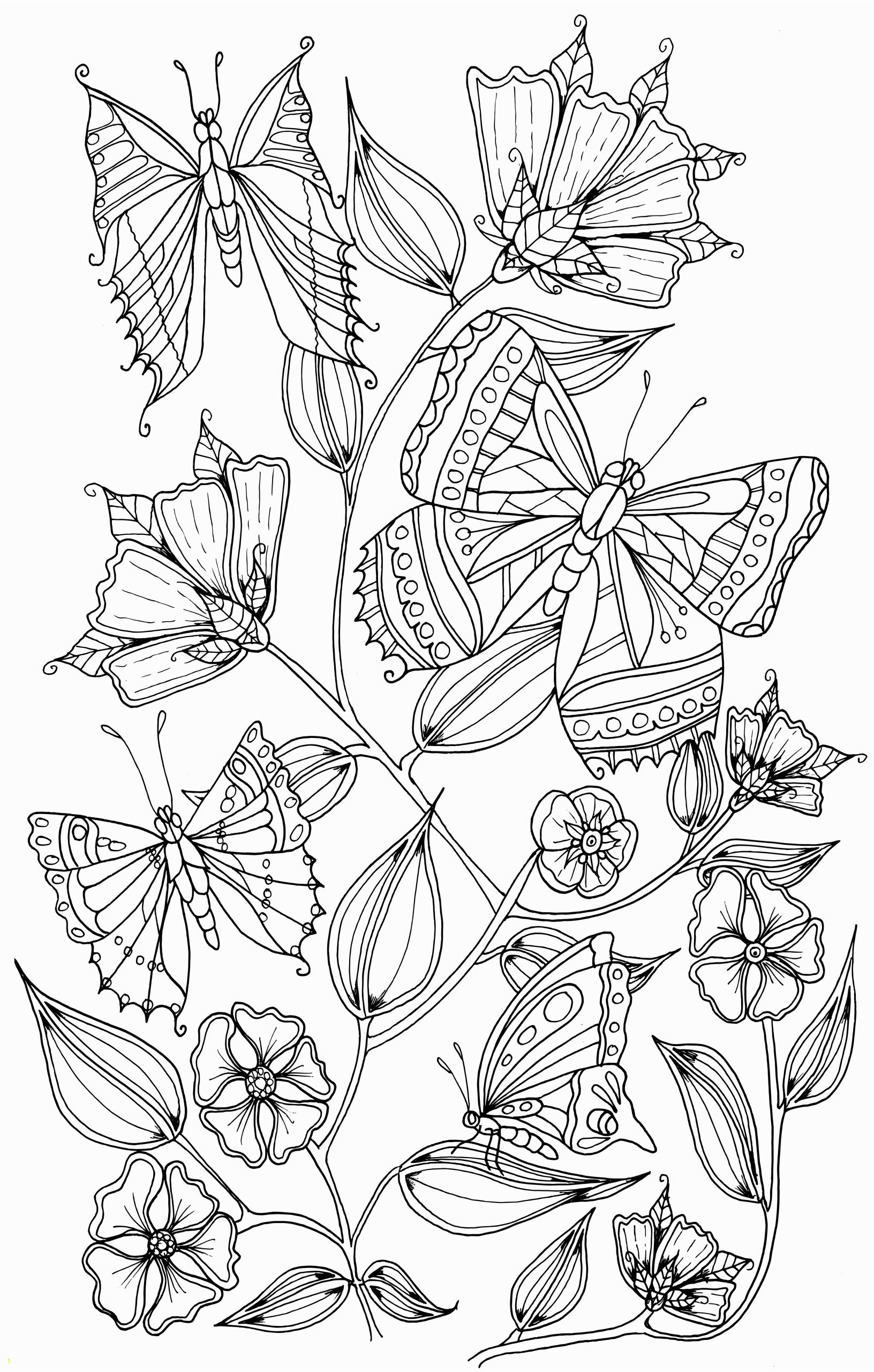 Butterflies