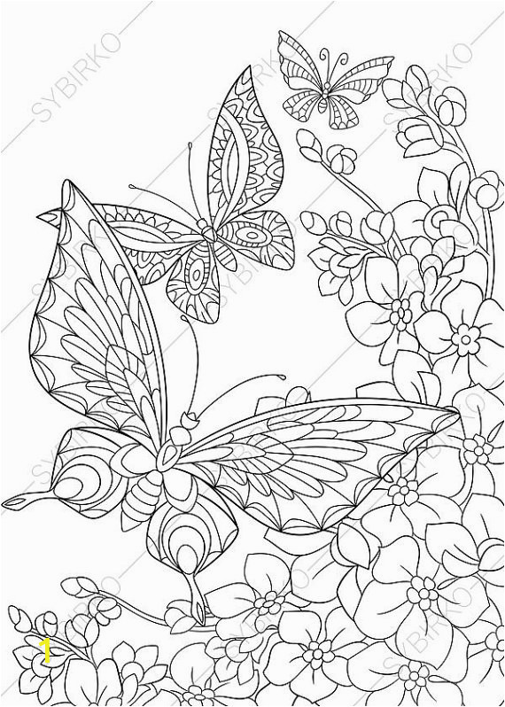 butterfly and flower coloring pages for adults