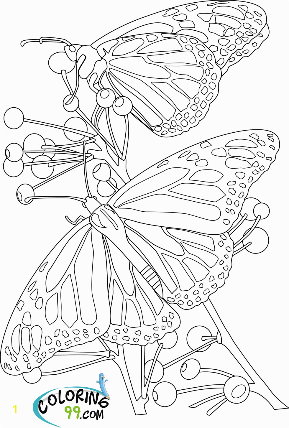 butterfly coloring pages