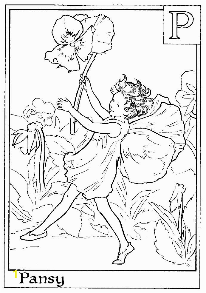 Cicely Mary Barker Flower Fairies Coloring Pages 244 Best Images About Cicely Mary Barker On Pinterest