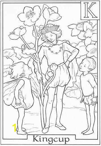 Cicely Mary Barker Flower Fairies Coloring Pages Frozendisney4u Coloring Page Flower Fairies King Cup