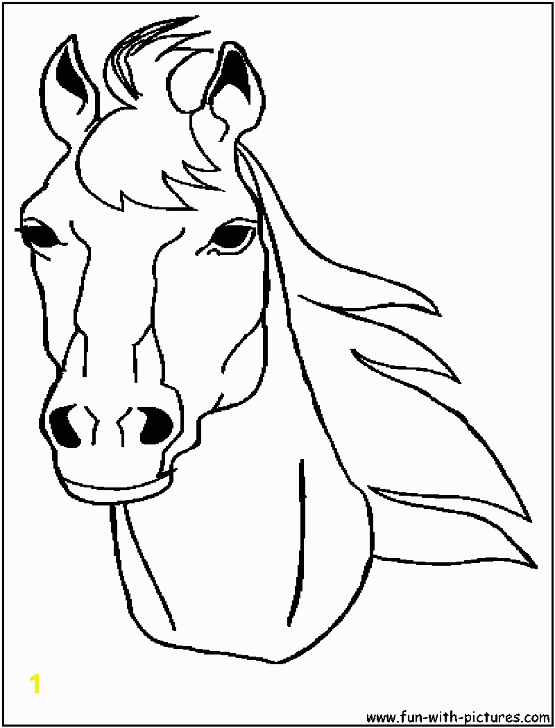 animal stronger horse head coloring to