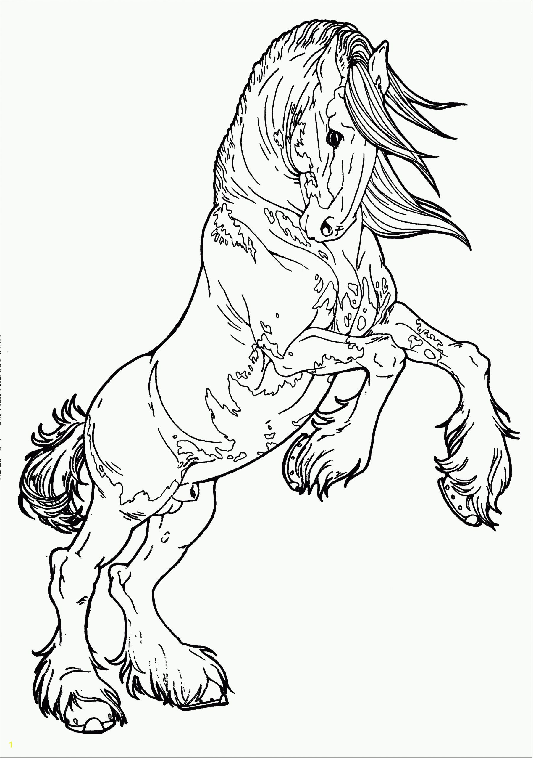 coloring pages horses heads ribbon print
