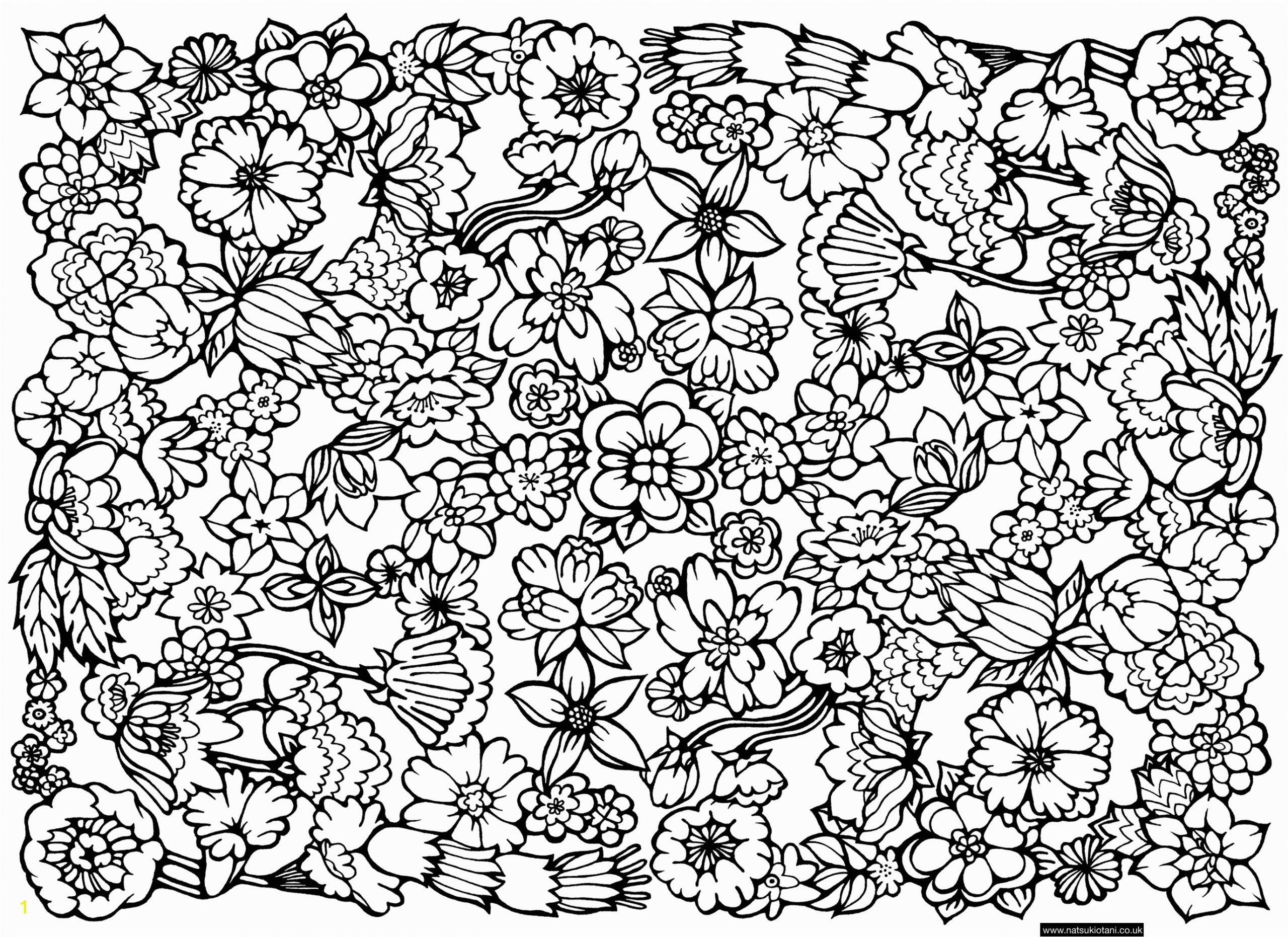 Coloring Pages Of Flowers for Teenagers Difficult Coloring Pages for Girls Hard at Getcolorings