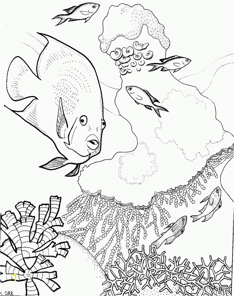 coral reef coloring pages for kids