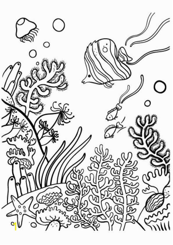 Coral Reef Coloring Pages to Print Underwater Coral Reef and Fish Ocean Coloring Pages