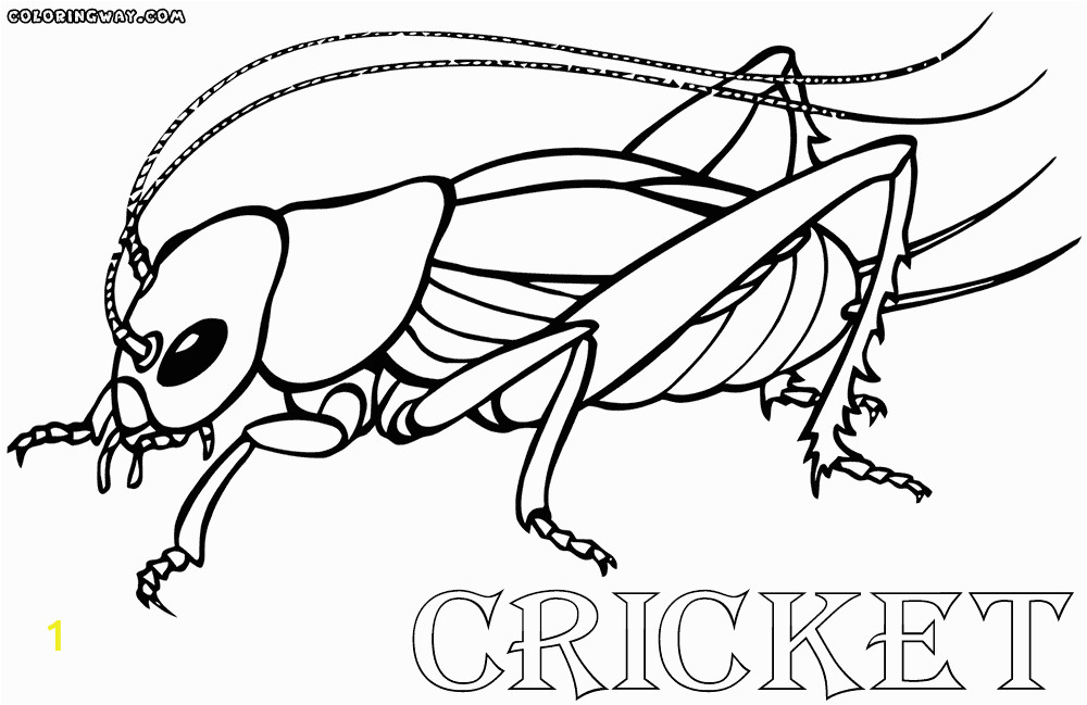 Cricket In Times Square Coloring Pages the Cricket In Times Square Pages Coloring Sketch Coloring