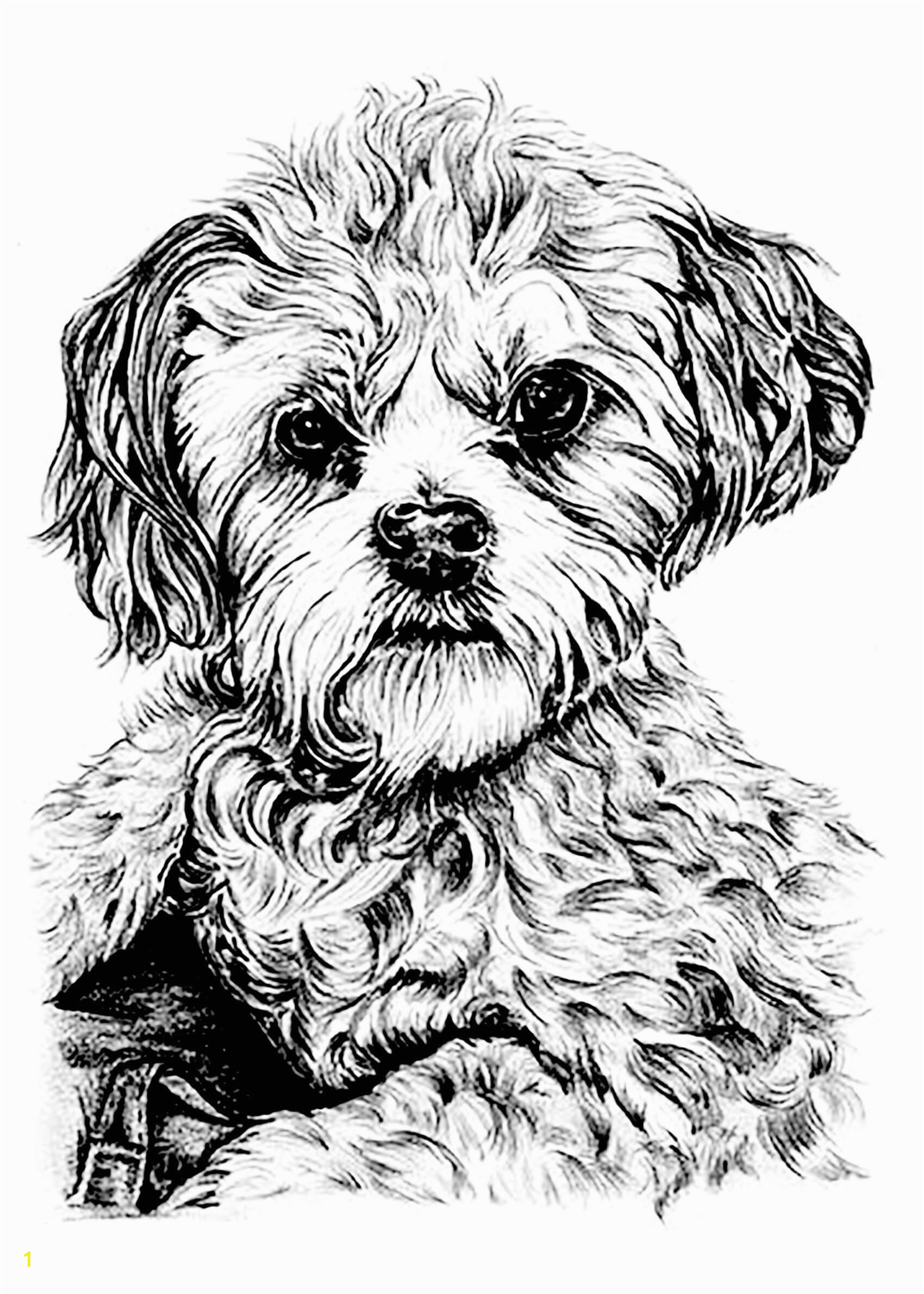 Cute Animal Coloring Pages for Adults Coloring Pages for Adults Difficult Animals 39