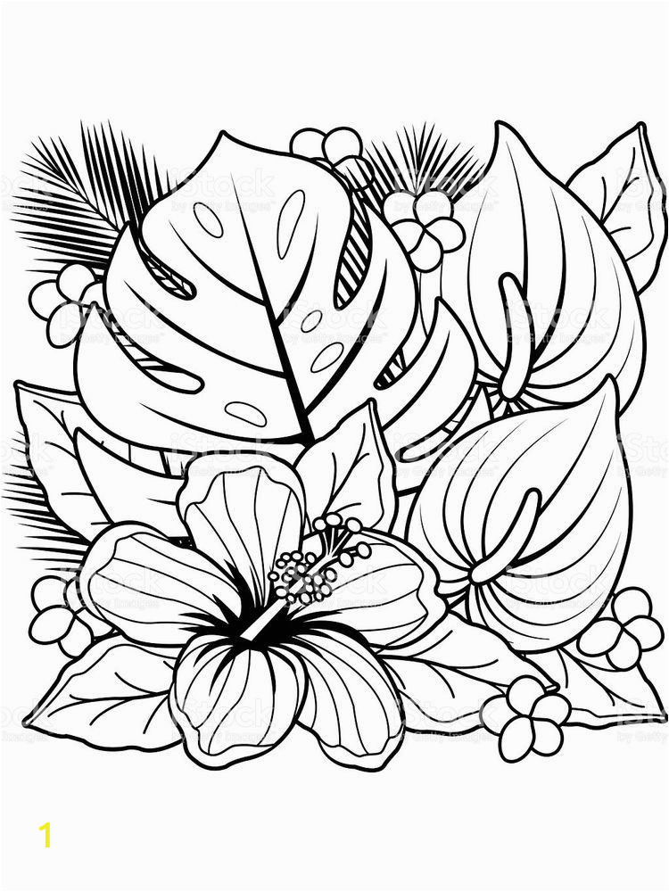 daisy flower garden journey coloring pages 1