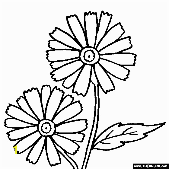 daisy flower garden journey coloring