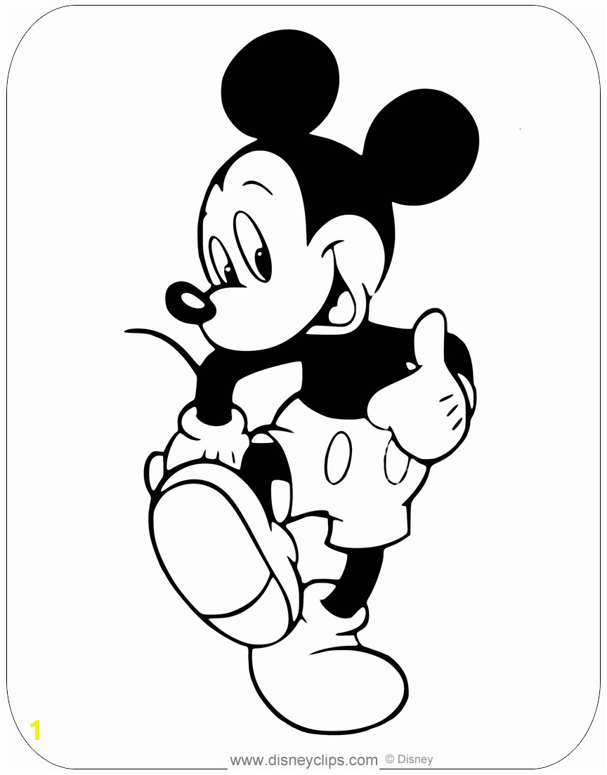 mickeycolor13