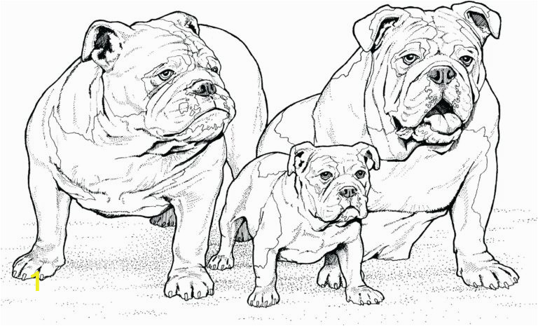 dog coloring pages that look real