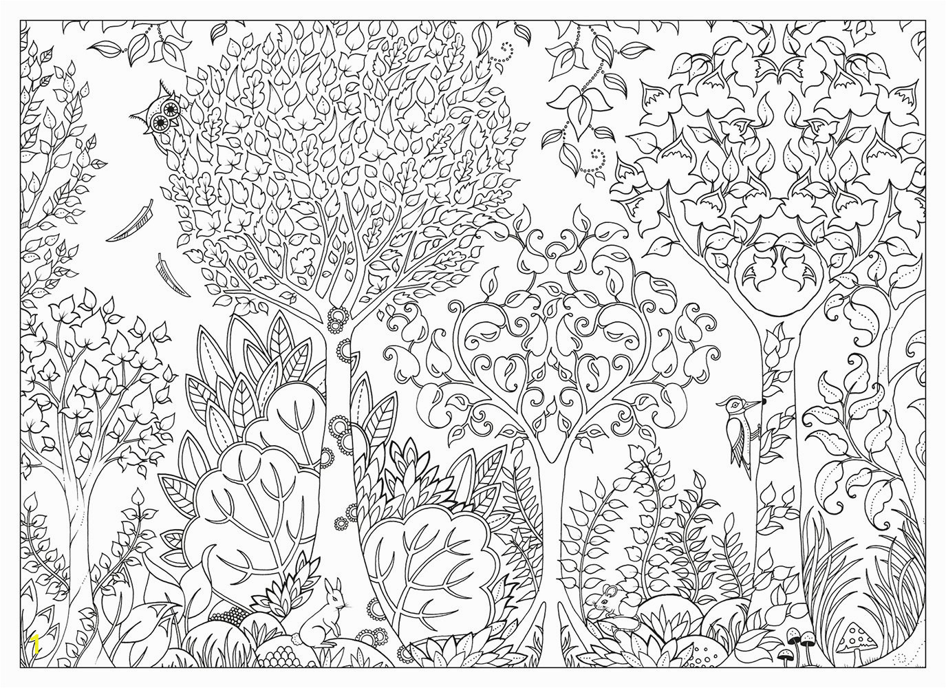 johanna basford coloring pages
