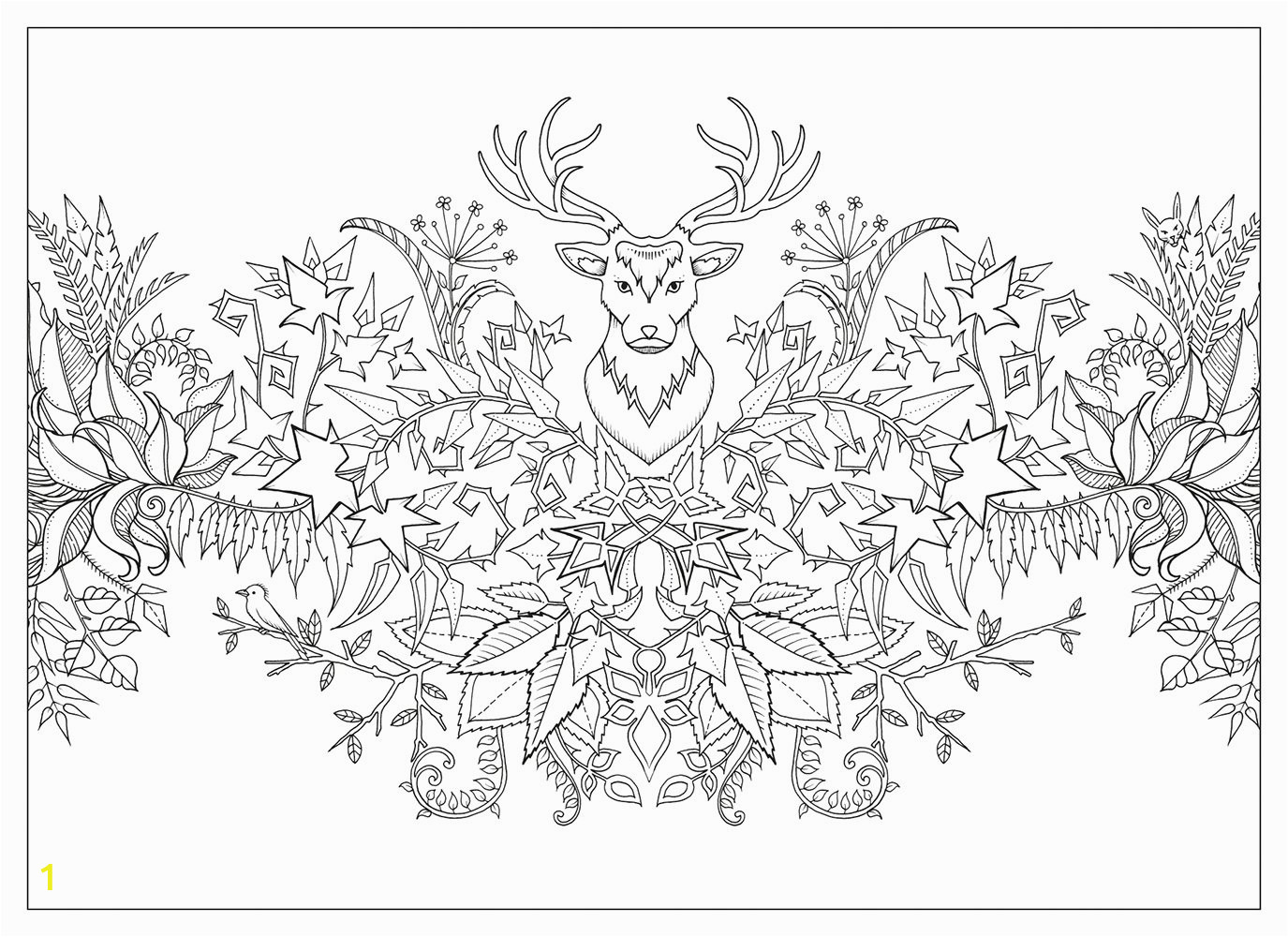 johanna basford coloring pages