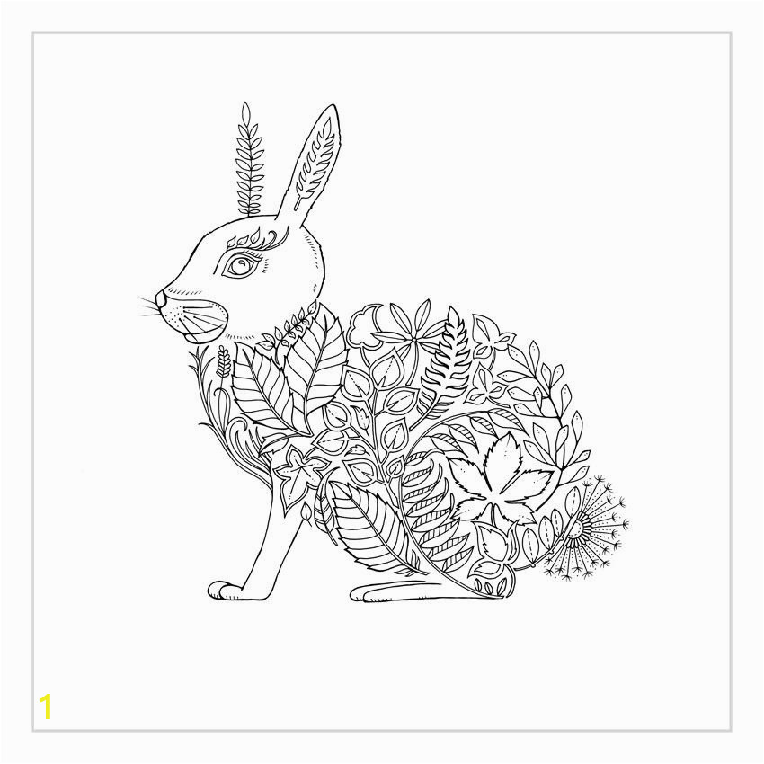 Enchanted forest Johanna Basford Coloring Pages Johanna Basford S Secret Garden and Enchanted forest Adult