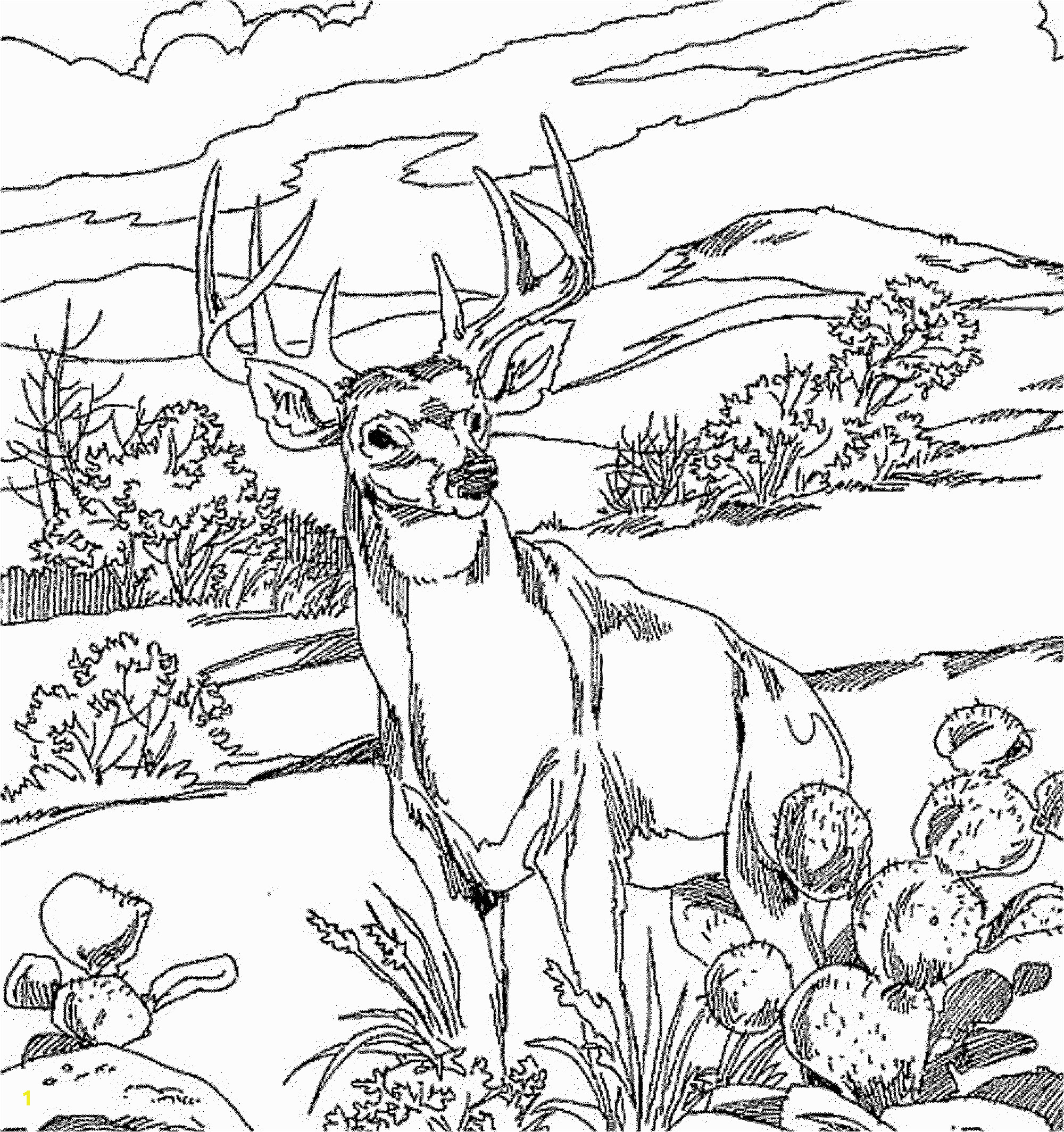 farm coloring pages for adults