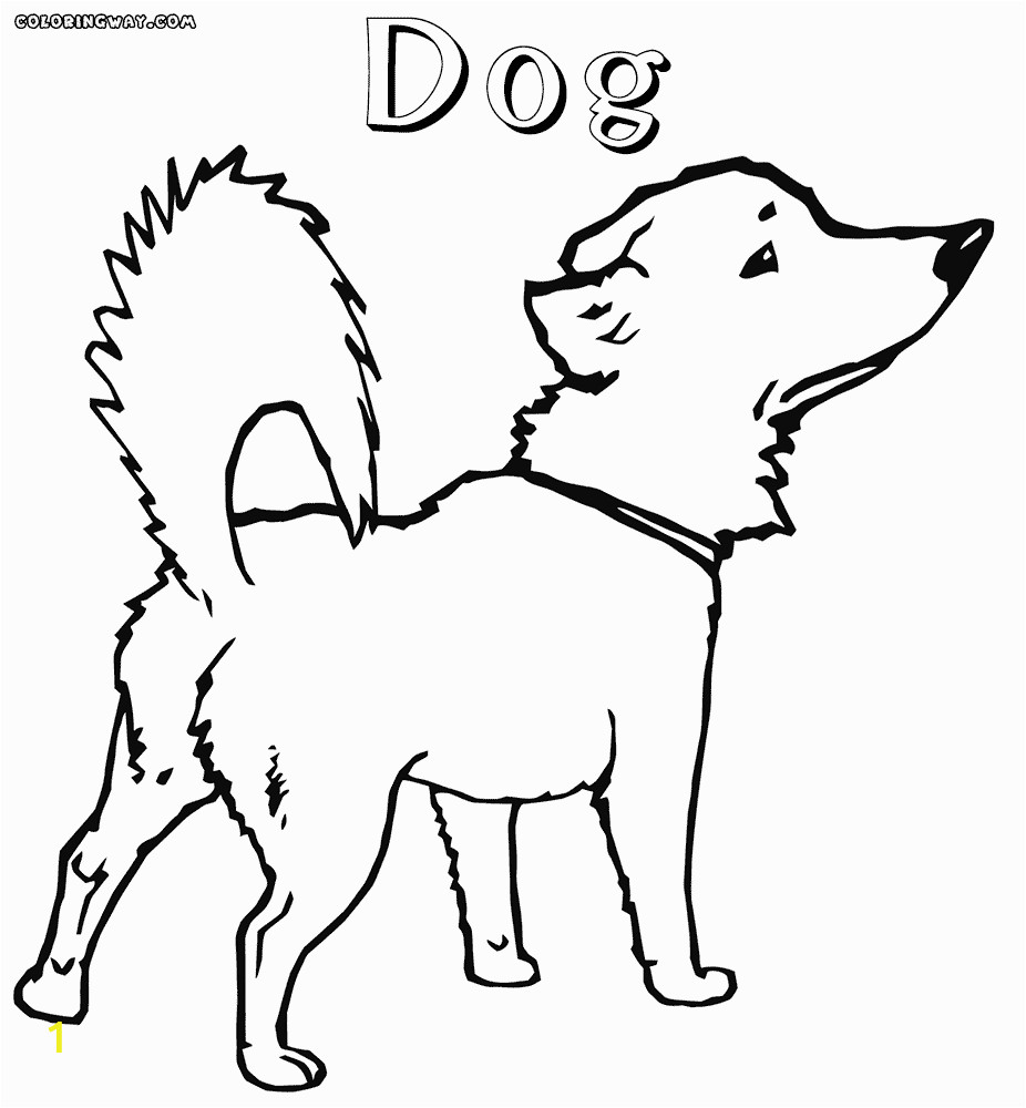 cat and dog coloring pages