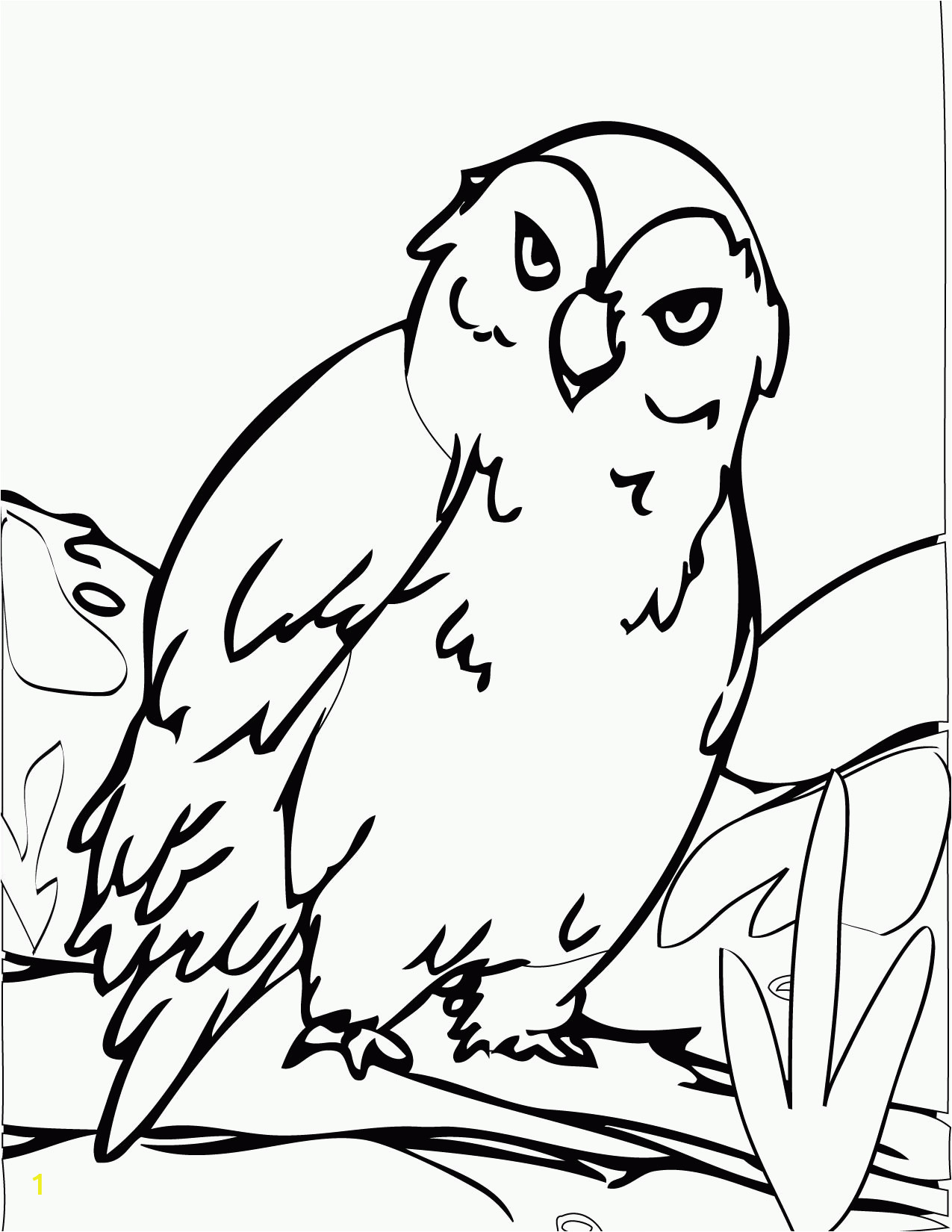 free printable arctic animals coloring pages
