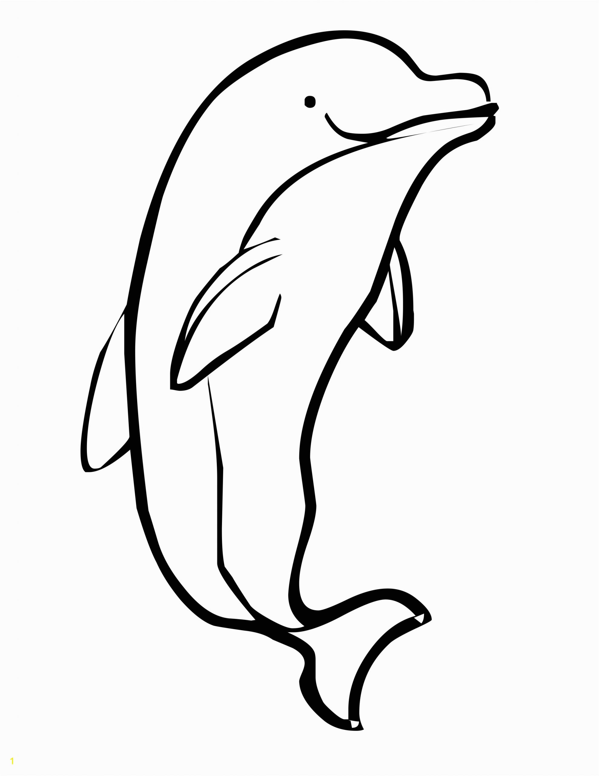 dolphin coloring pages