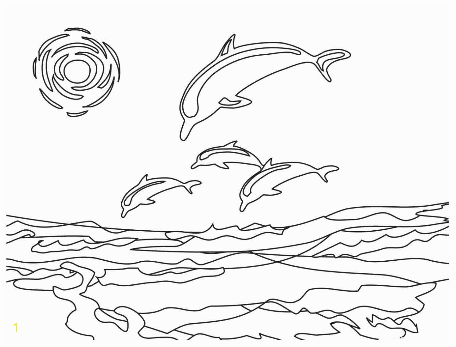 dolphin coloring pages