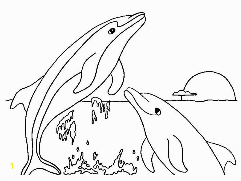 dolphin coloring pages