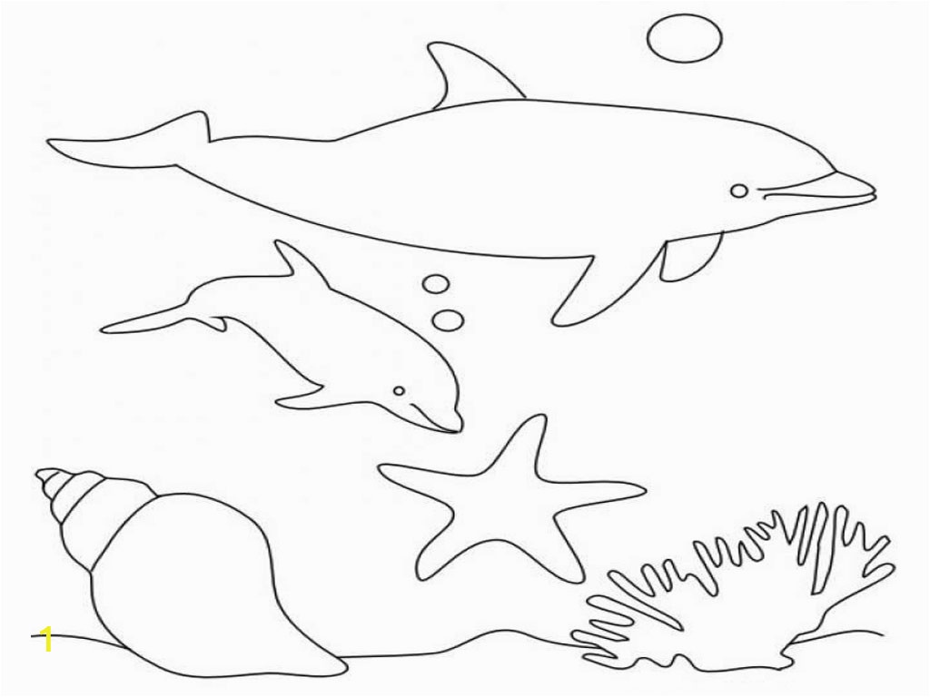 dolphin coloring pages