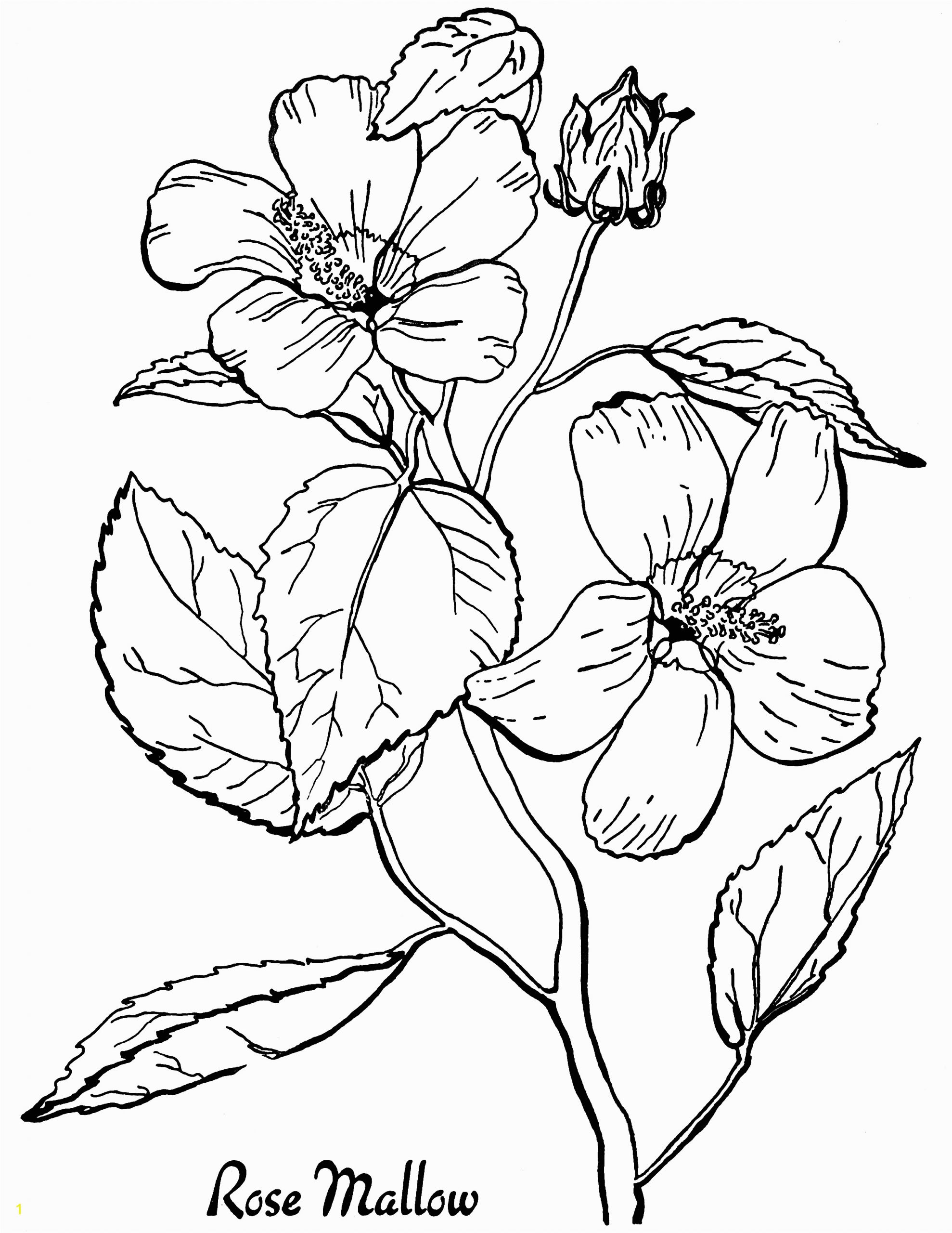 free roses printable adult coloring page