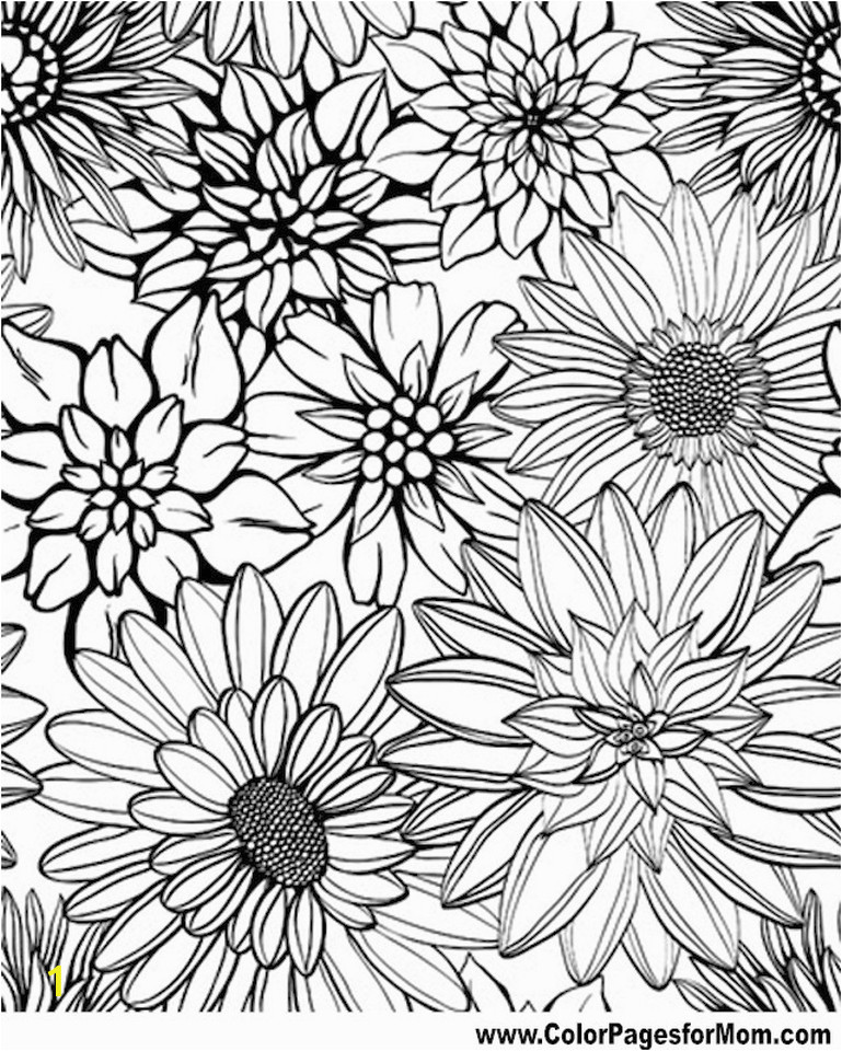 Free Online Coloring Pages for Adults Flowers Get This Detailed Flower Coloring Pages for Adults