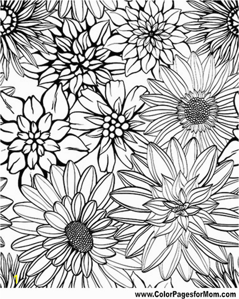 detailed flower coloring pages for adults printable ycv42