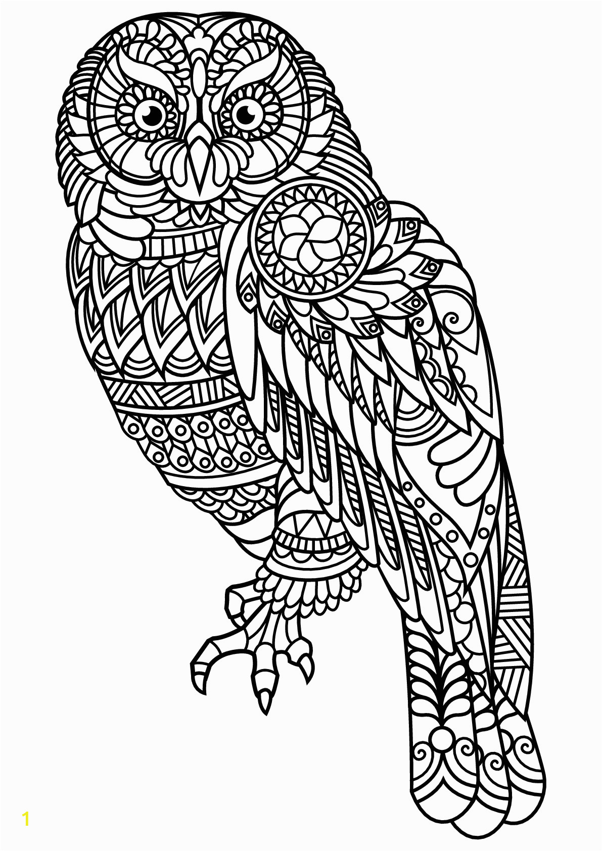 Free Owl Coloring Pages for Adults Free Book Owl Owls Adult Coloring Pages