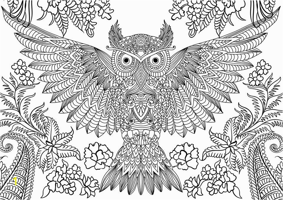 owl coloring pages adults