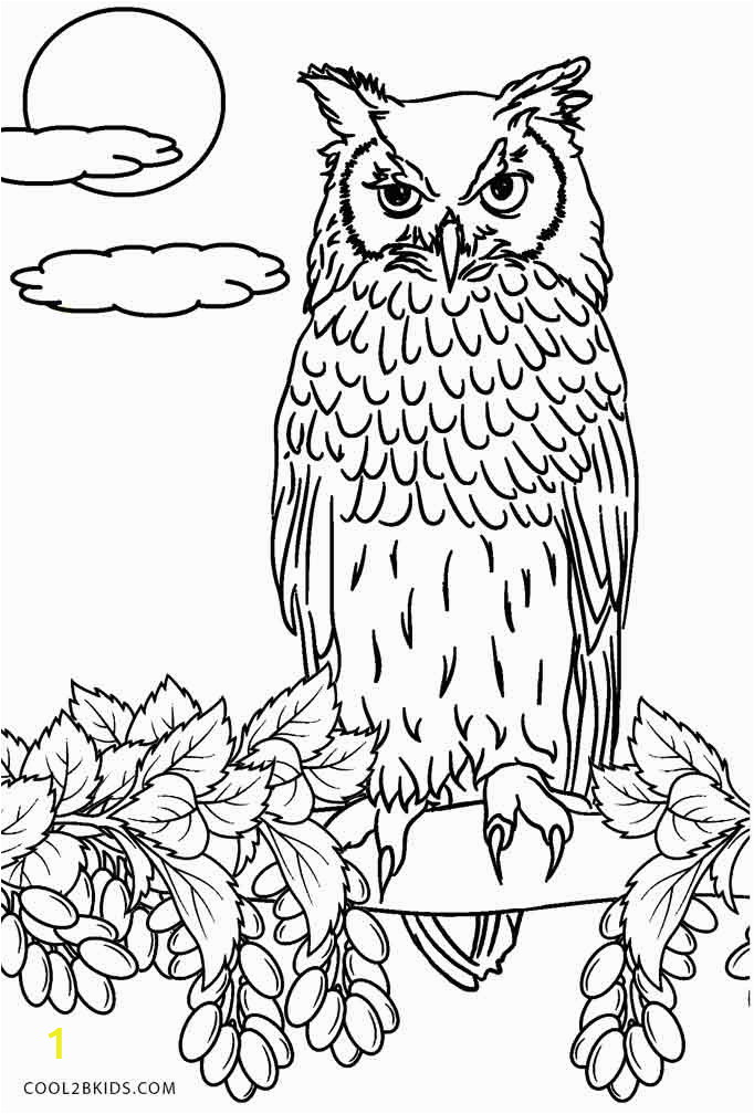 Free Owl Coloring Pages to Print Free Printable Owl Coloring Pages for Kids