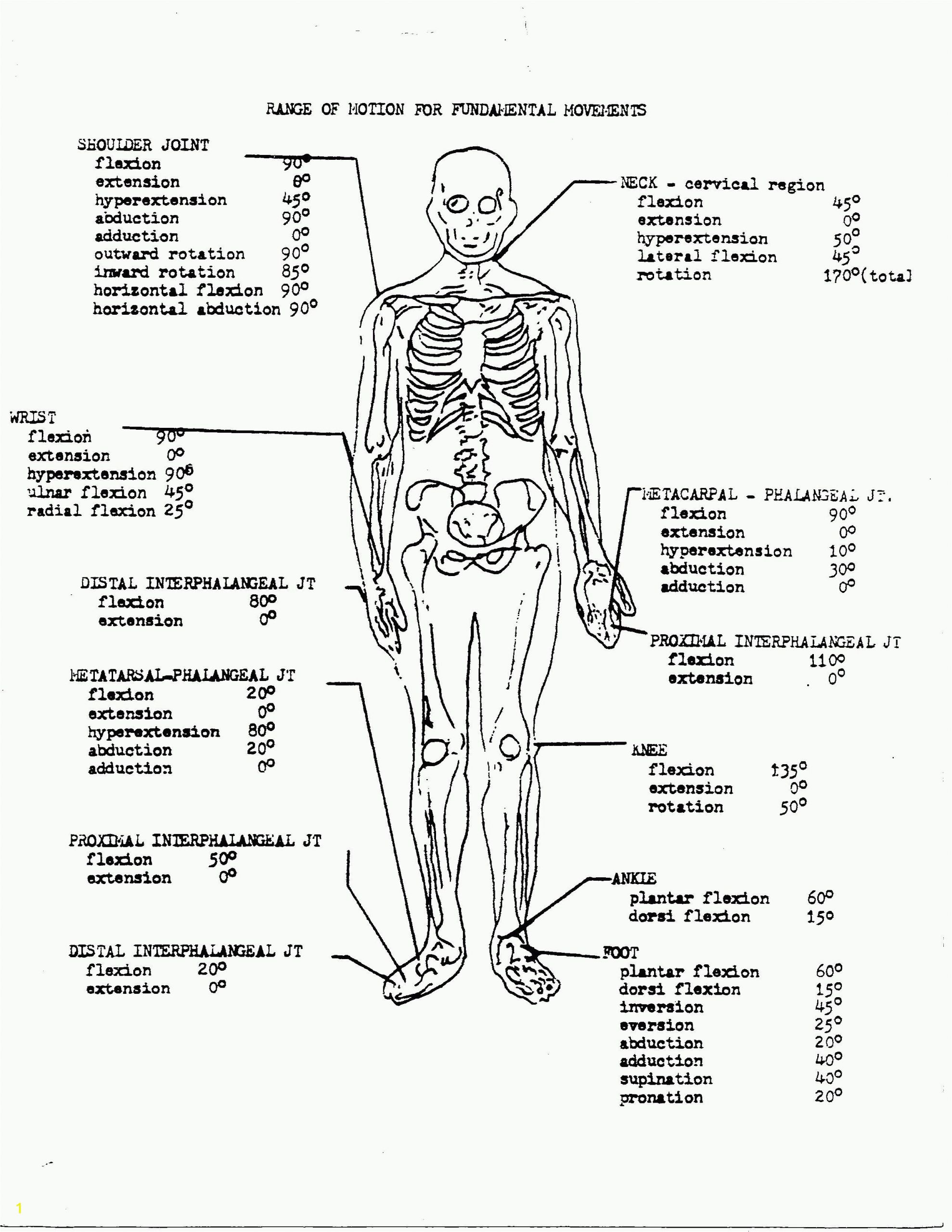 Free Printable Anatomy and Physiology Coloring Pages Anatomy and Physiology Coloring Workbook Answers Unique