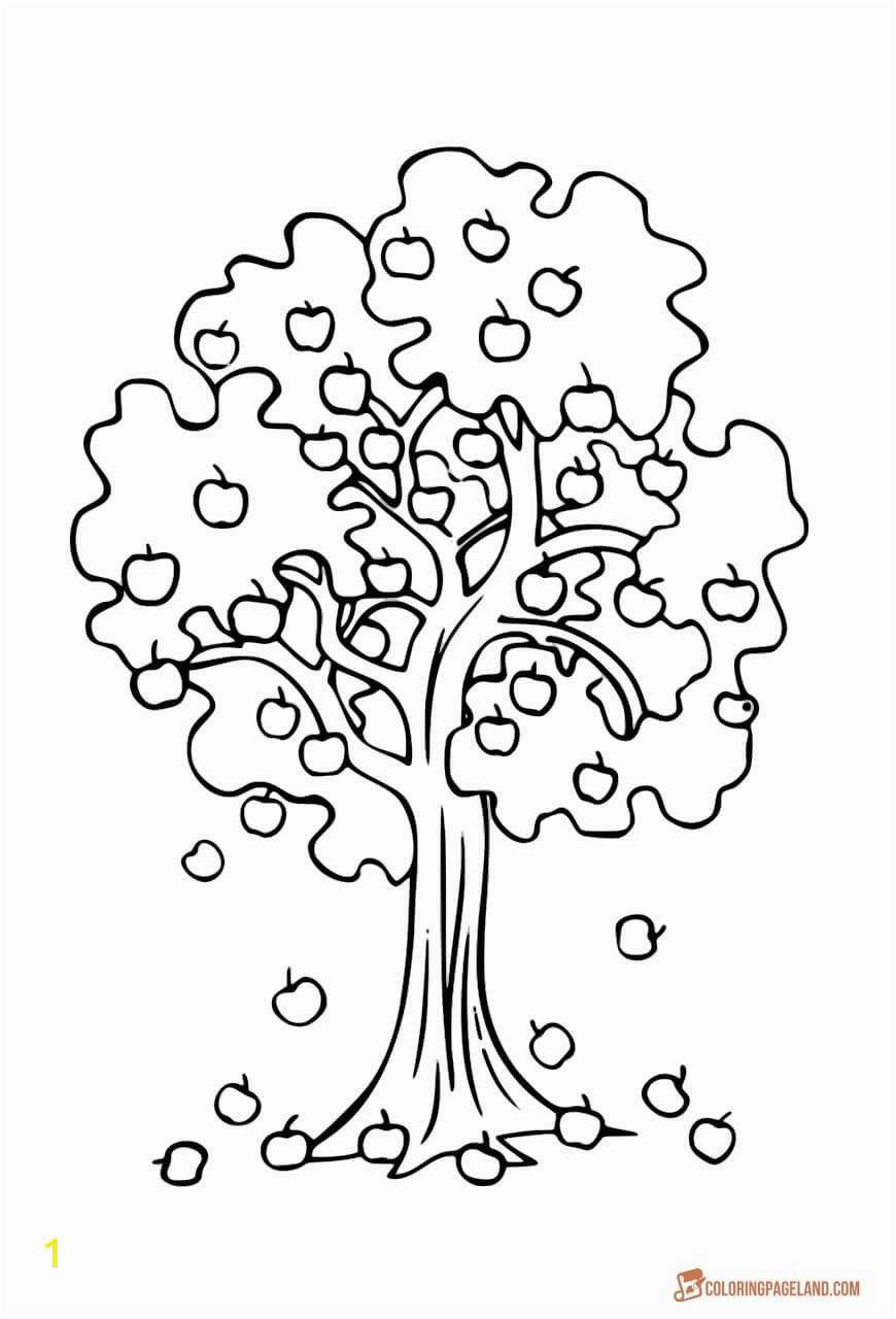 fruit tree coloring page