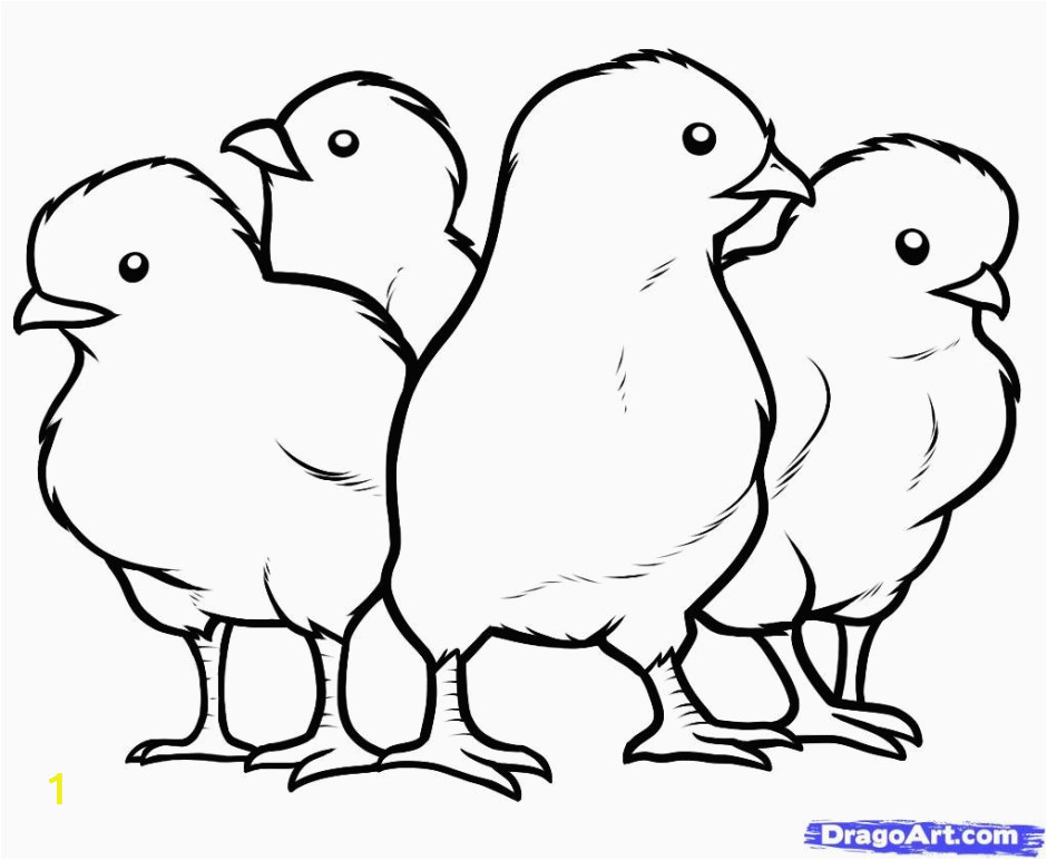 baby chick coloring page