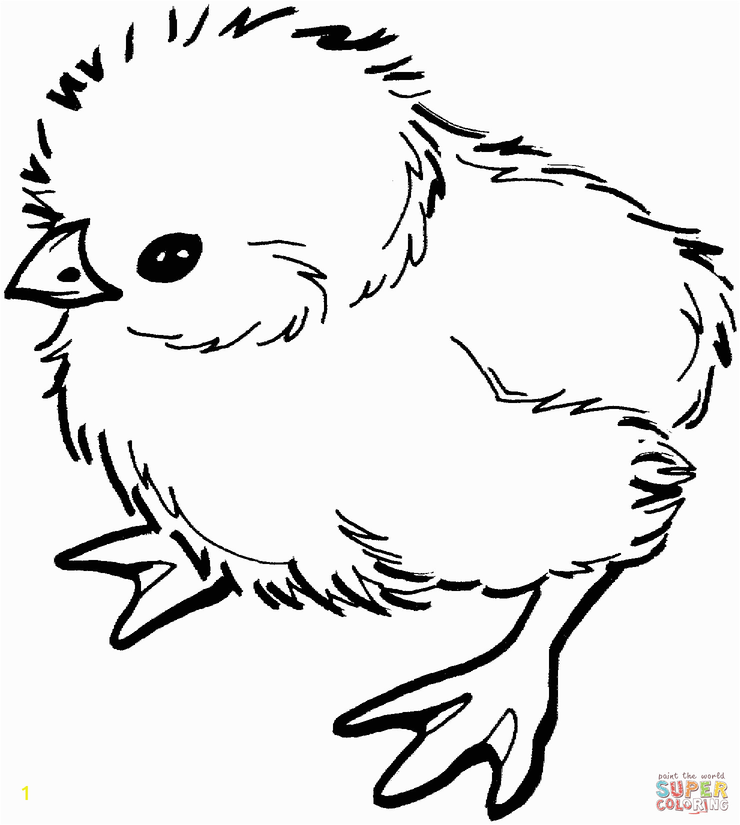 Free Printable Baby Chick Coloring Pages Baby Chick Coloring Page