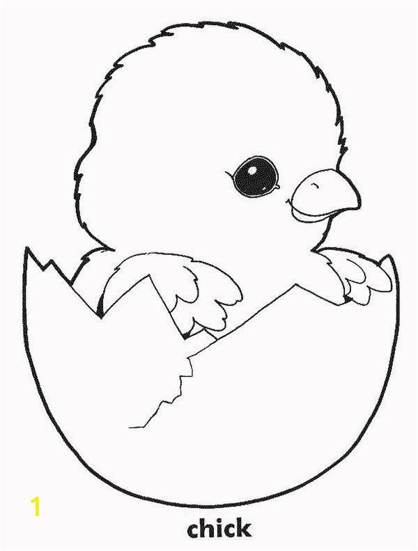 Baby Chick Coloring Pages part 5