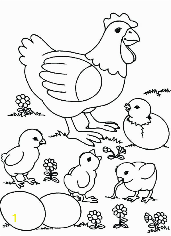 chicken coloring pages