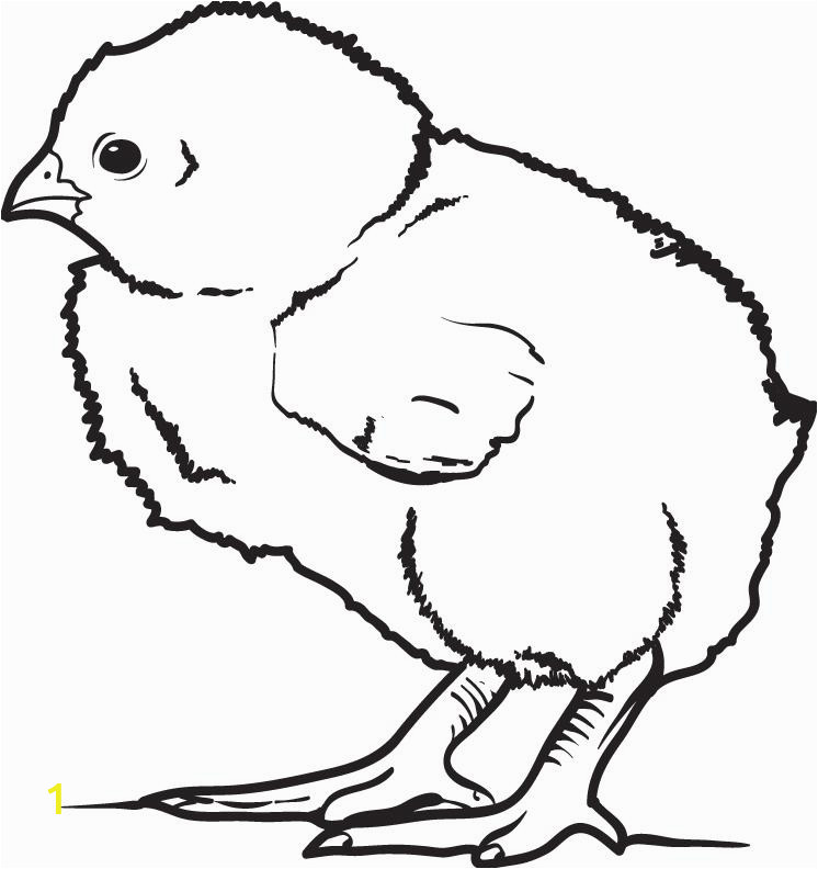 little baby chick coloring page a4380