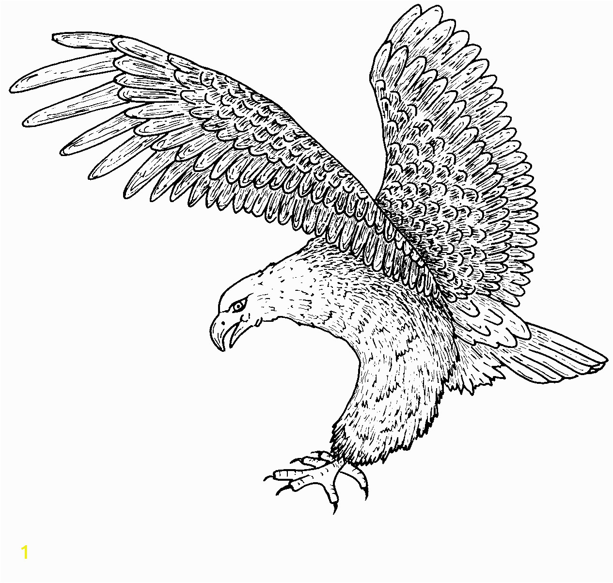 bald eagle coloring pages