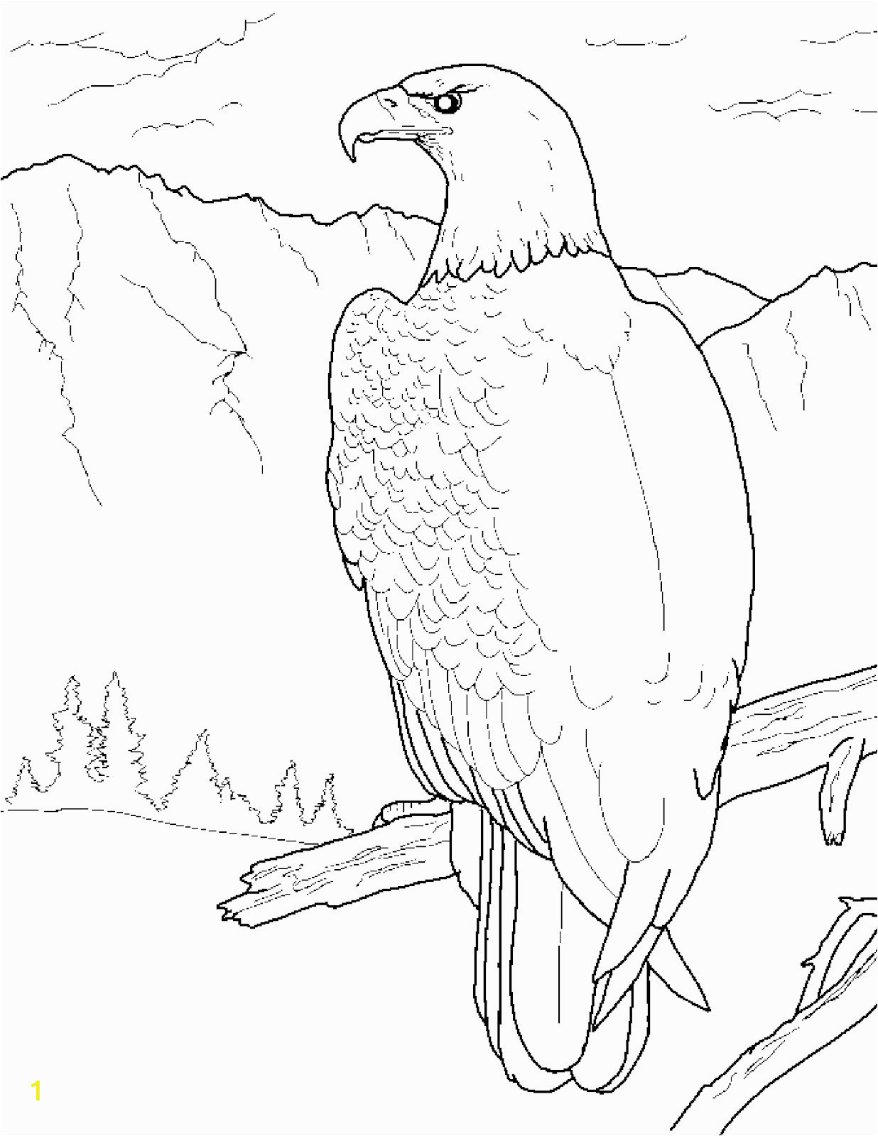 bald eagle coloring pages