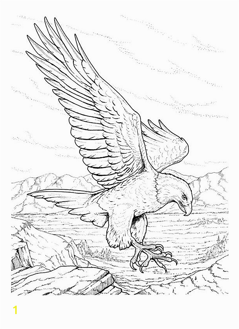 Free Printable Bald Eagle Coloring Pages Free Printable Bald Eagle Coloring Pages for Kids