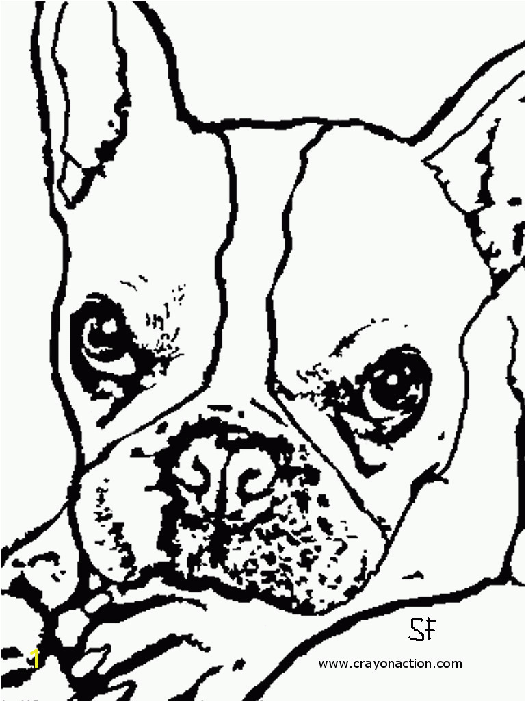 boston terrier coloring pages printable
