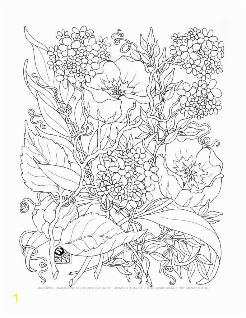 printable coloring pages for adults only