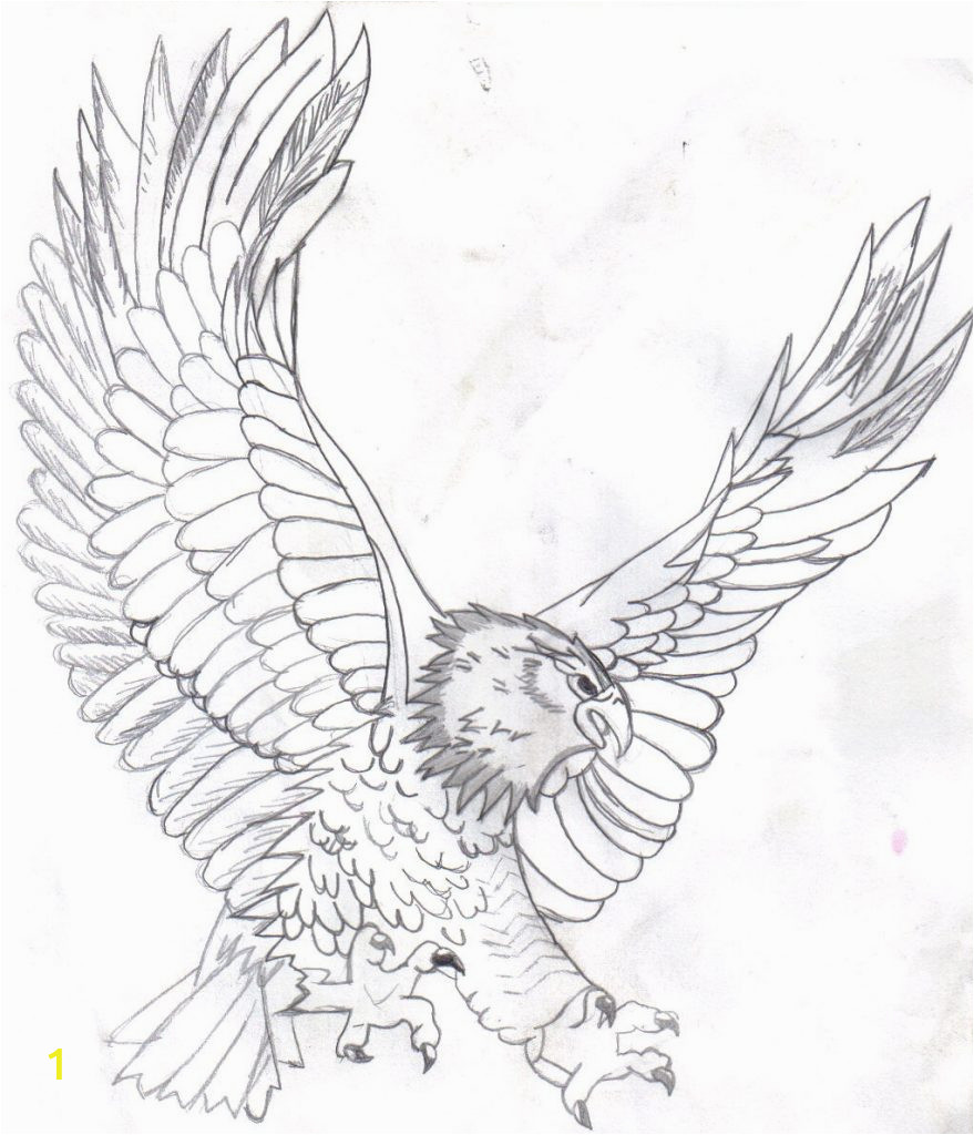 bald eagle coloring pages