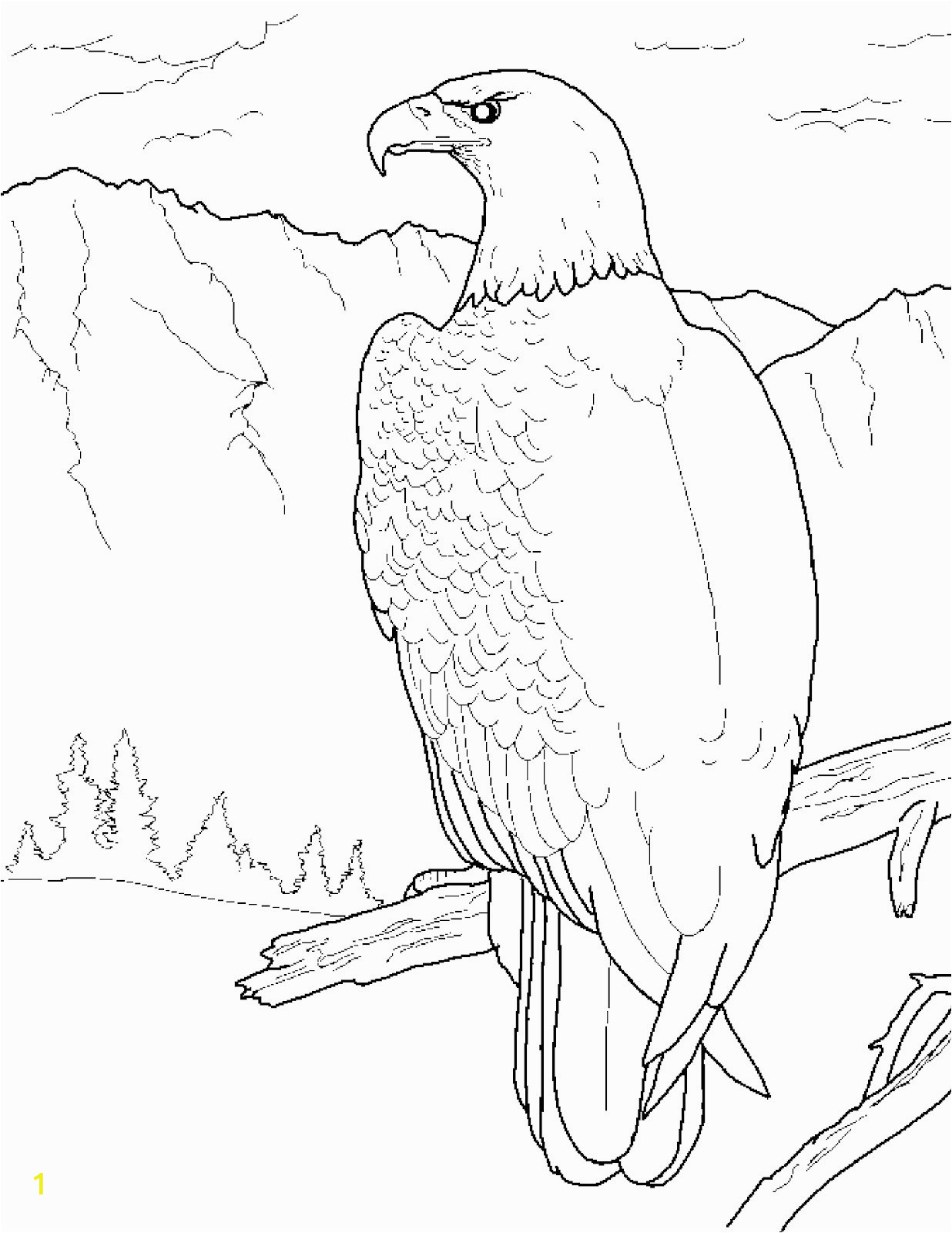 bald eagle coloring pages