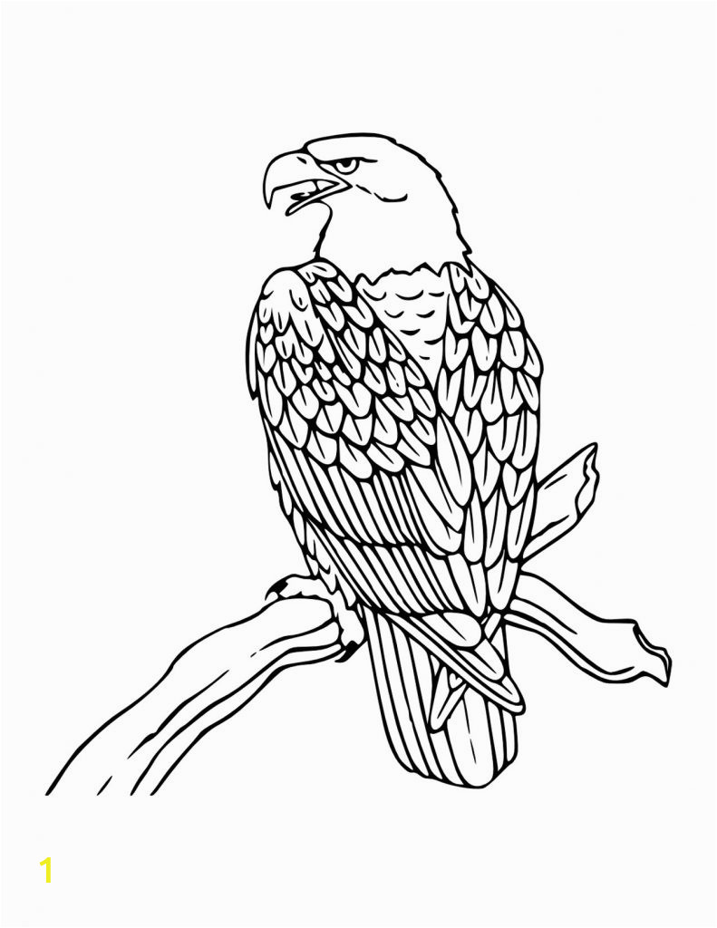 bald eagle coloring pages