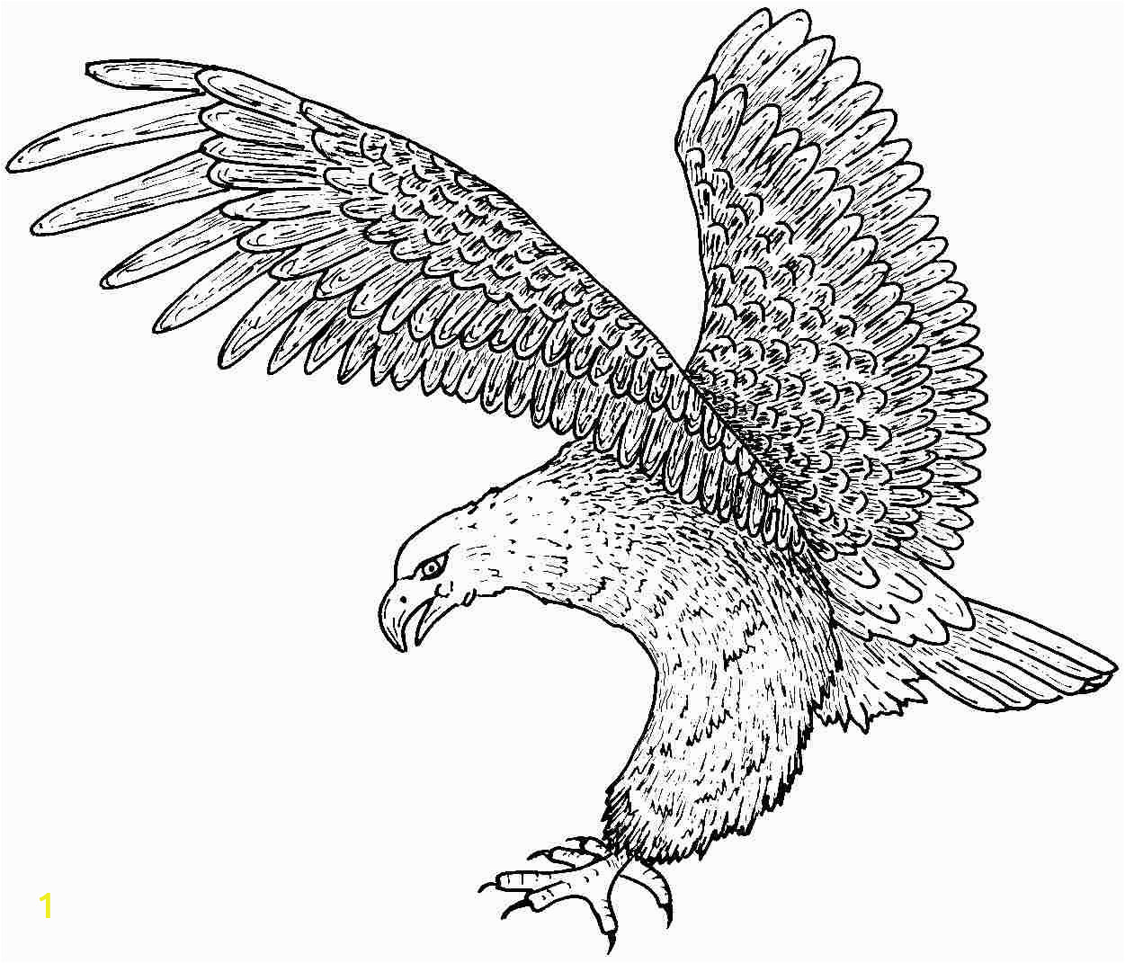 eagle coloring pages