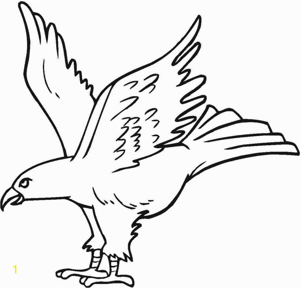 eagle coloring pages