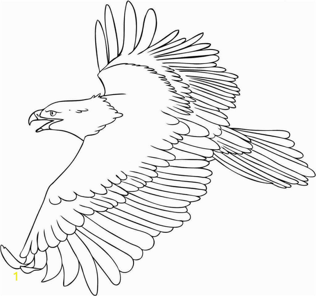 eagle coloring pages